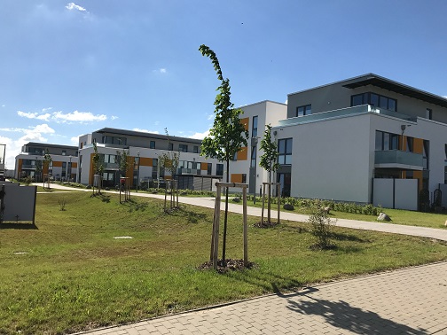 Neubau von 4 MFH mit 60 WE Wittholz-Ring 3-6 in 18225 Kühlungsborn